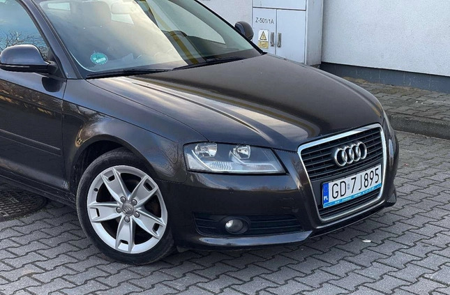 Audi A3 cena 26997 przebieg: 191000, rok produkcji 2009 z Głogów małe 301